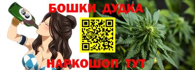 индика Пыть-Ях