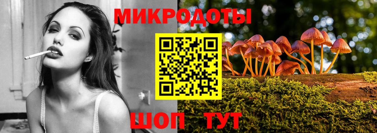 Галлюциногенные грибы Psilocybe Туапсе